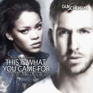 ترجمه آهنگ Calvin Harris Feat. Rihanna This Is What You Came For