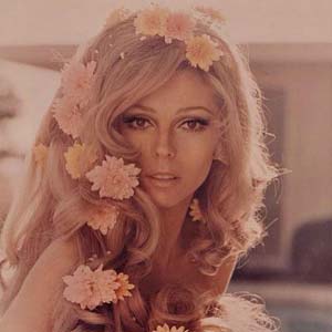 ترجمه آهنگ bang-bang