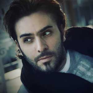 معنی bir daha sevmem