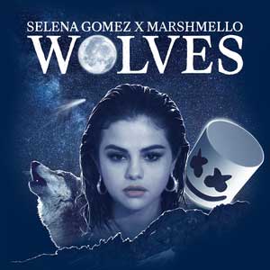 ترجمه آهنگ Selena Gomez & Marshmello Wolves