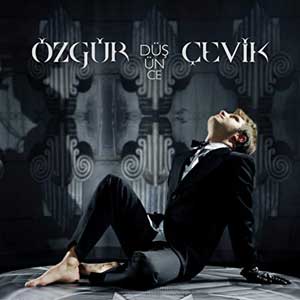 ترجمه bize kalanlar