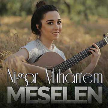 آلبوم meselen
