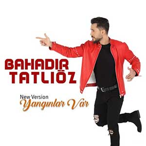 معنی yanginlar var