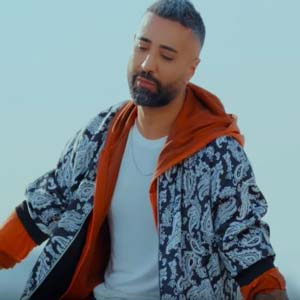 معنی آهنگ git gidebilirsen